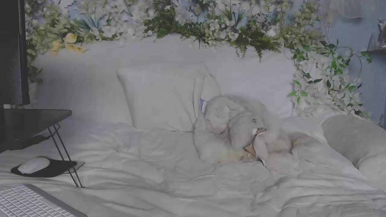 ViteR_ Live Sex 2025.10.16