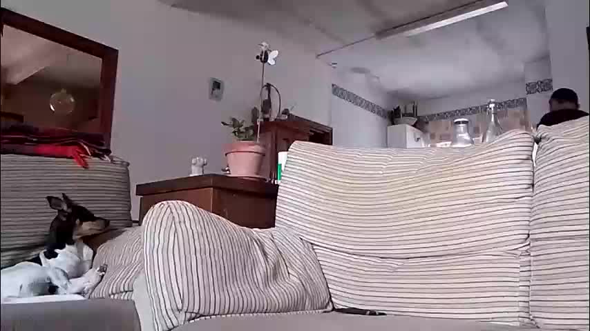 lolahueso Live Sex December 18, 2025