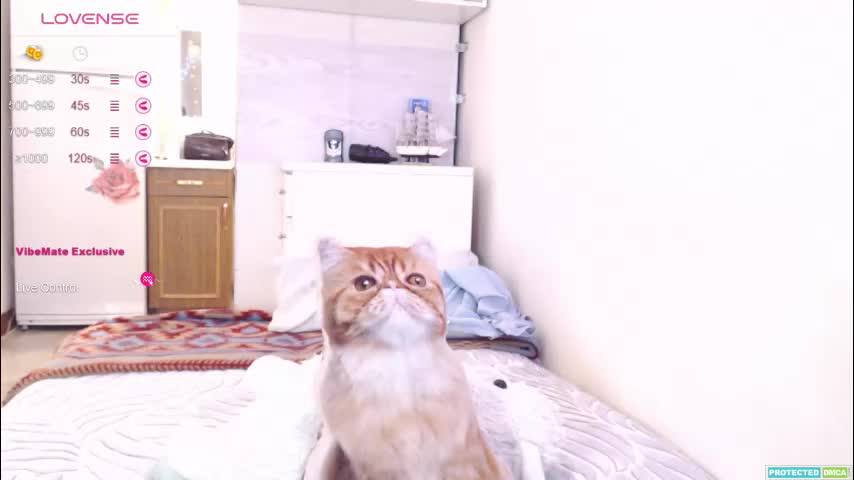 pvt_brian Live Sex October 17, 2025