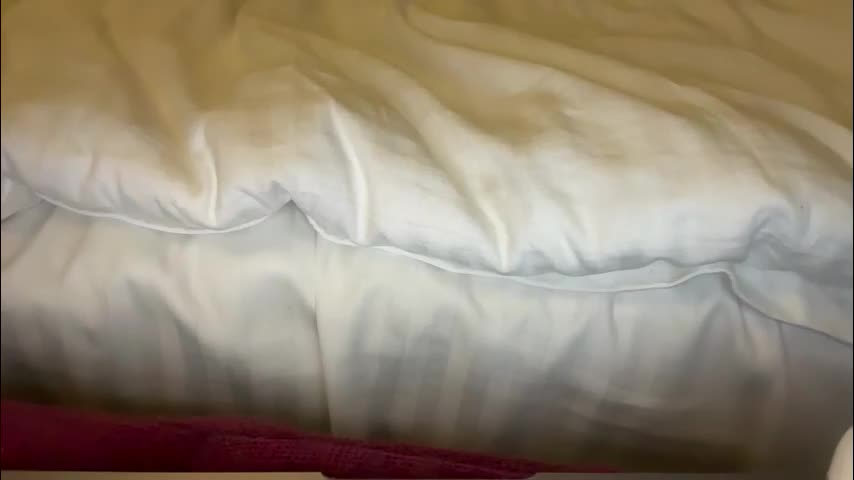 marsandvene1a Live Sex December 15, 2025