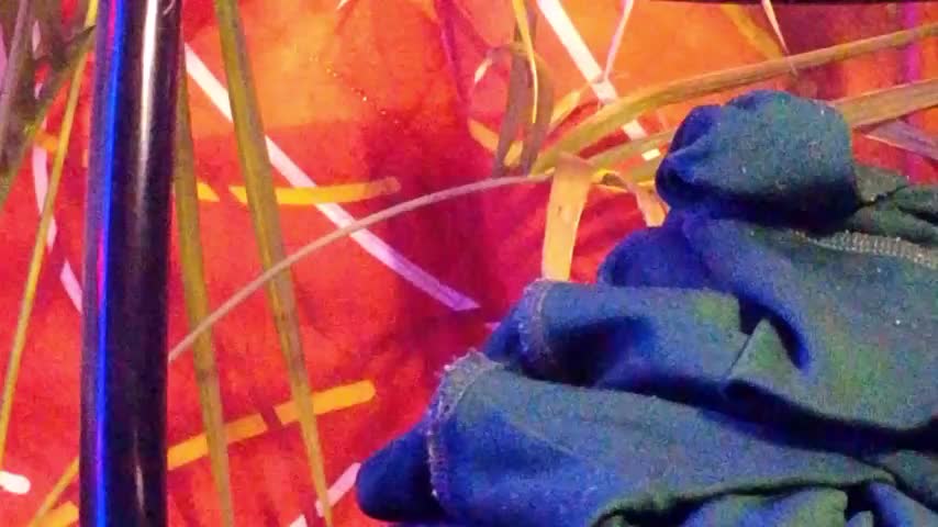 Jony_Marta Live Sex December 14, 2025