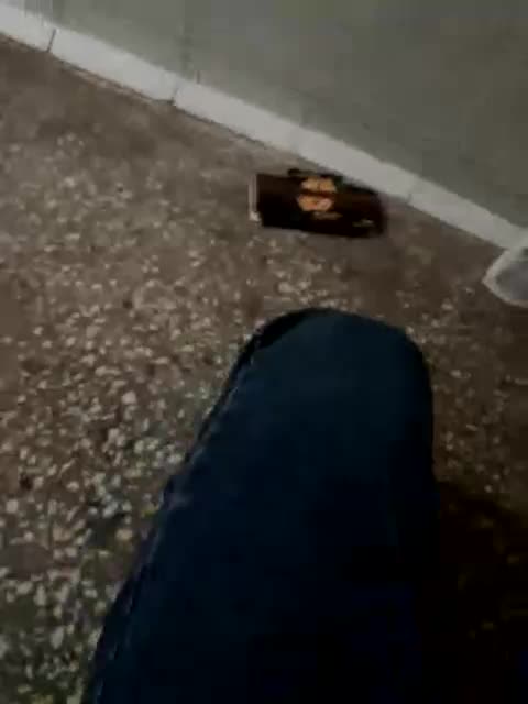 sinful1239 Live Sex December 13, 2025