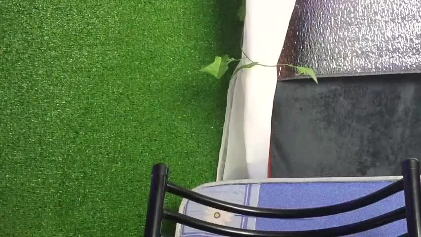 Jony_Marta Live Sex December 14, 2025