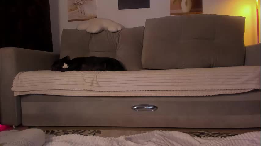 afanasia Live Sex December 14, 2025