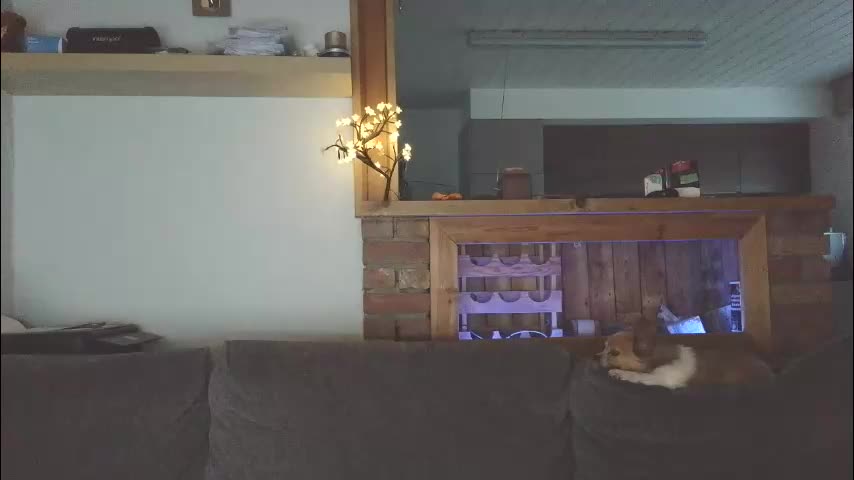 sanroom Live Sex December 14, 2025