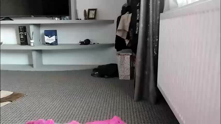 crazybrenda89 Live Sex December 14, 2025