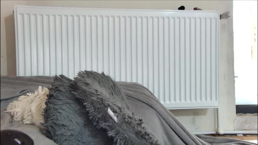 anaworld69 Live Sex December 14, 2025