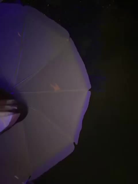 OrgazMia Live Sex December 13, 2025