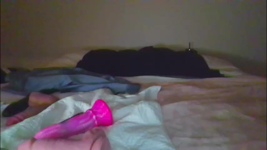 sdbeachfreaks Live Sex December 13, 2025