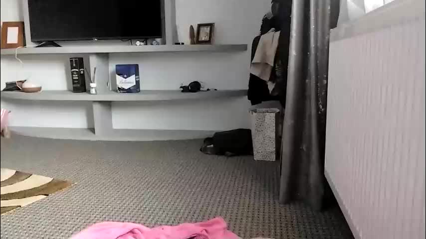 crazybrenda89 Live Sex December 14, 2025