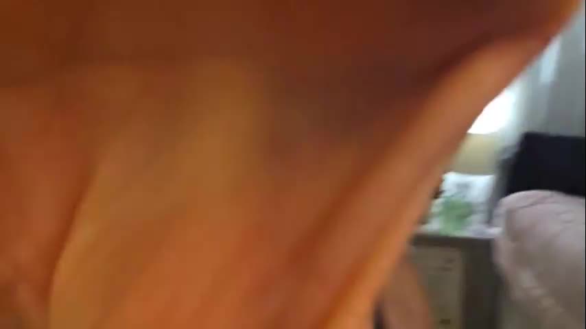 yogimilflover Live Sex December 13, 2025