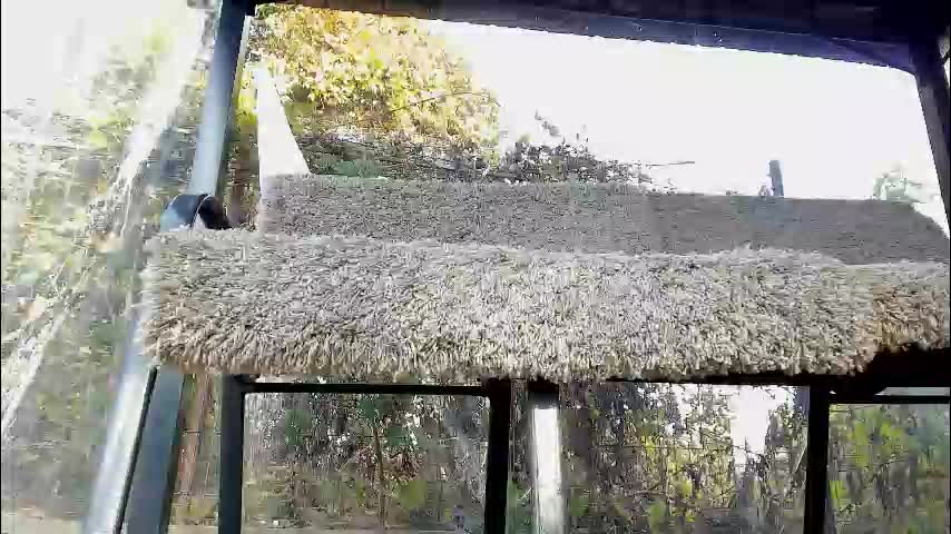 you_love_melisa Live Sex December 17, 2025