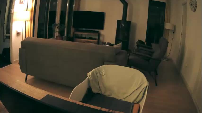 woodwurm Live Sex December 19, 2025