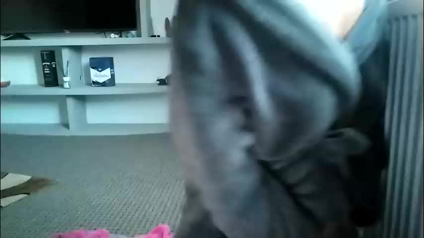 crazybrenda89 Live Sex December 14, 2025