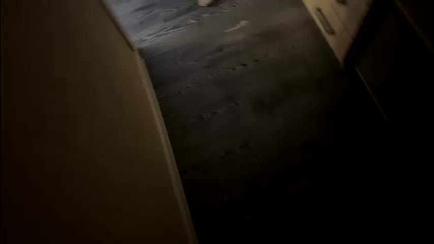 shtirlec86 Live Sex December 14, 2025