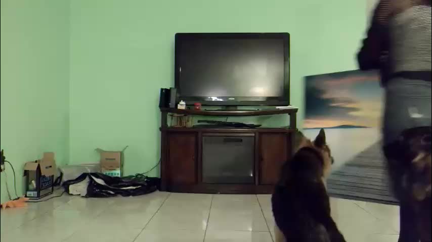 yoursecretgirlfriend963 Live Sex December 12, 2025