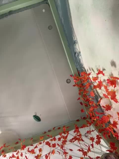 -Windranger- Live Sex December 14, 2025