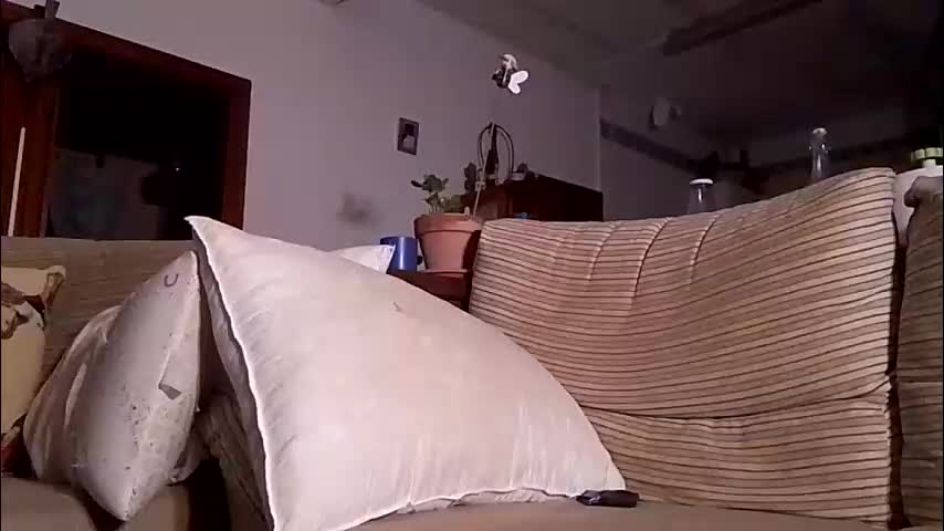 lolahueso Live Sex December 18, 2025