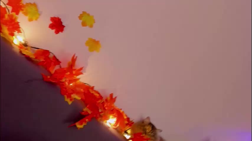 tori_the_witch Live Sex December 17, 2025