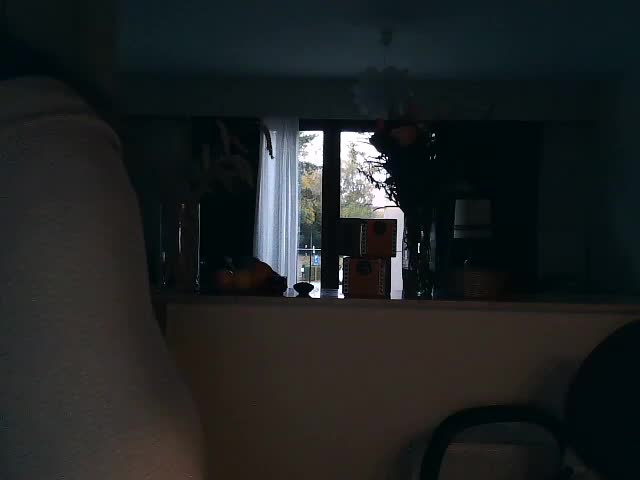 UllimOhi Live Sex December 13, 2025