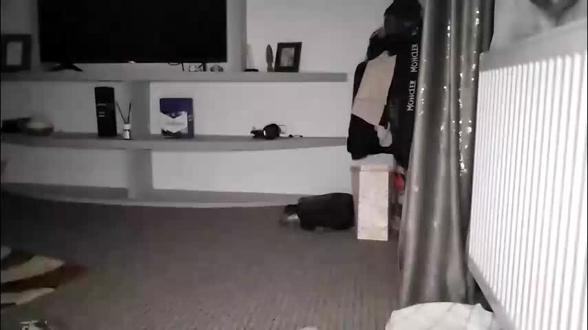 crazybrenda89 Live Sex December 14, 2025