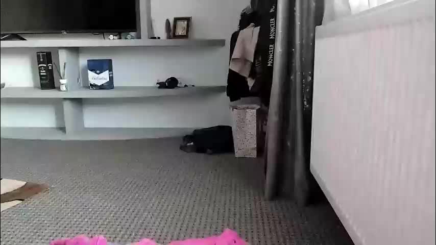 crazybrenda89 Live Sex December 14, 2025