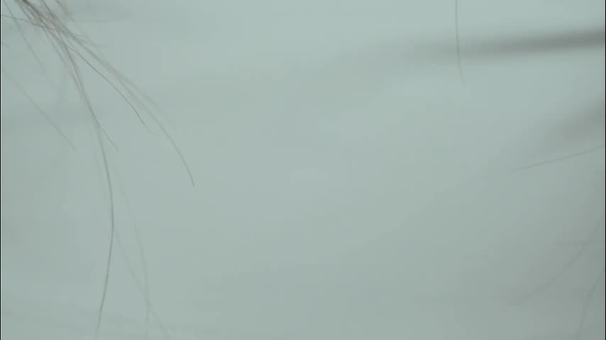 whisper_of_love Live Sex December 14, 2025