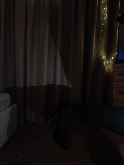 Alfenok Live Sex October 29, 2025