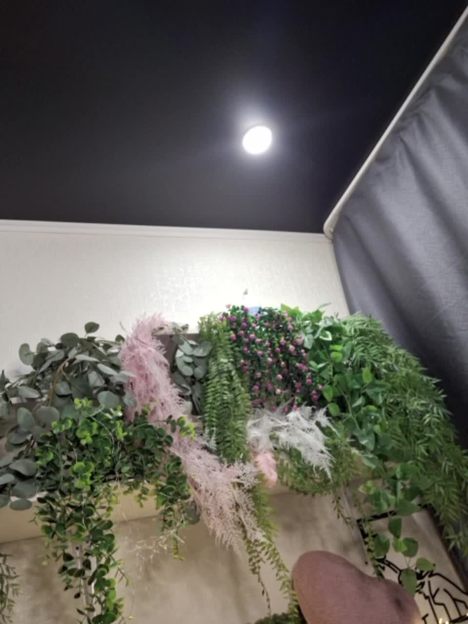 -scyrim- Live Sex December 14, 2025