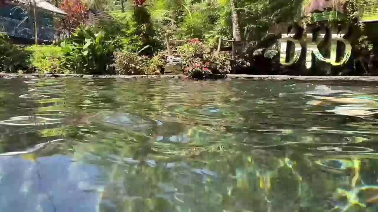 Ne_Sonia Live Sex December 14, 2025