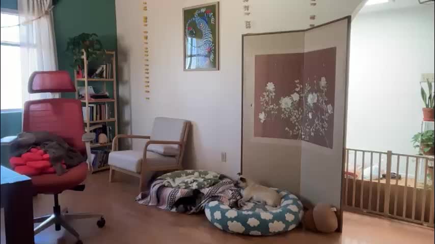 channel022 Live Sex October 29, 2025