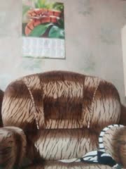 Calibriya Live Sex December 17, 2025