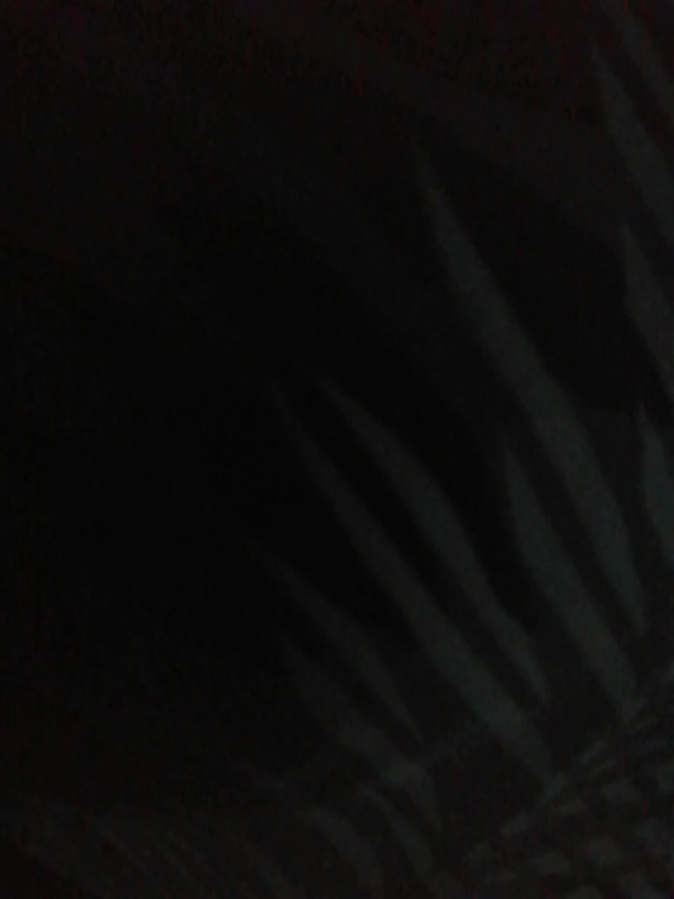 TISE Live Sex October 30, 2025