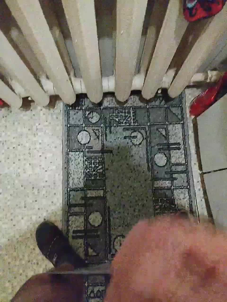 Paradise_1 Live Sex December 13, 2025