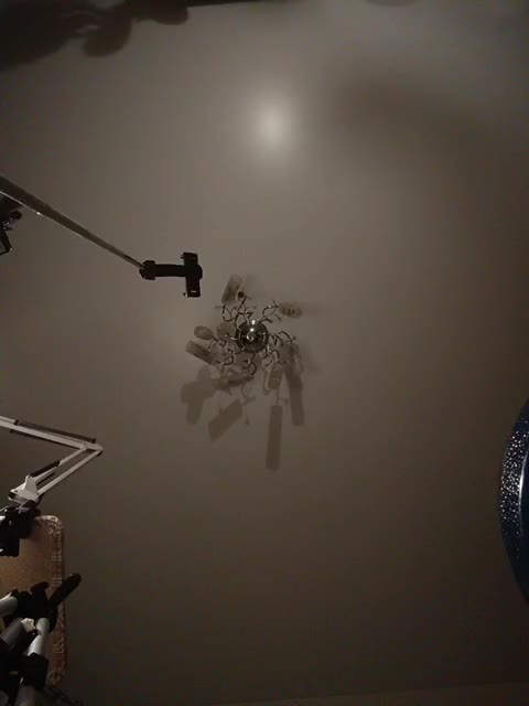 sexdiana69 Live Sex December 13, 2025