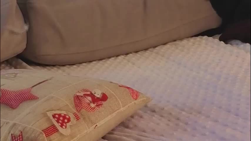 jolyndeb Live Sex December 17, 2025