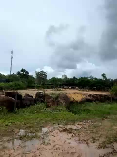 MoanaQliphoth Live Sex October 31, 2025