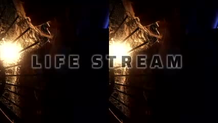 ALVUWKA Live Sex December 13, 2025