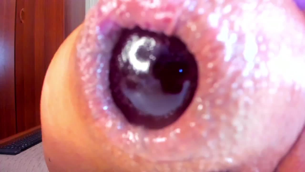 NikkaHotX Live Sex December 13, 2025