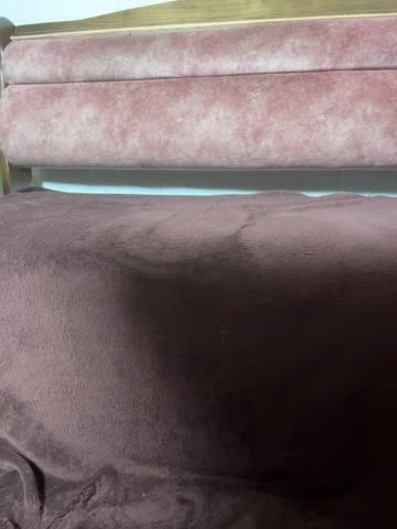 Wiskey Live Sex December 13, 2025