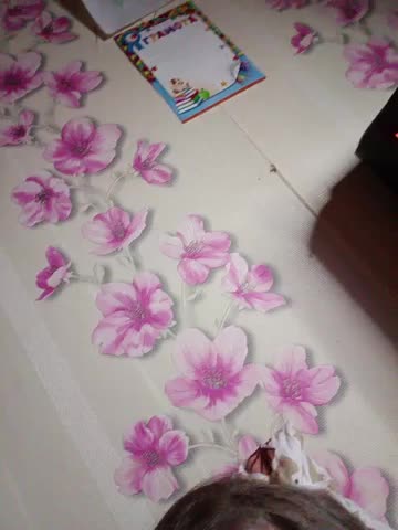 Olivia5551 Live Sex December 13, 2025