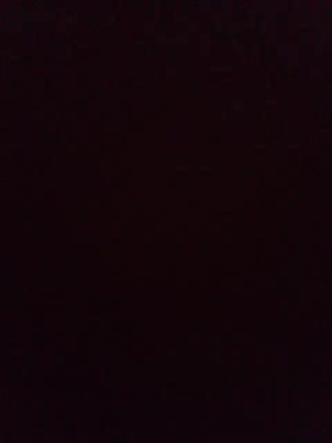 Niki233221 Live Sex December 13, 2025