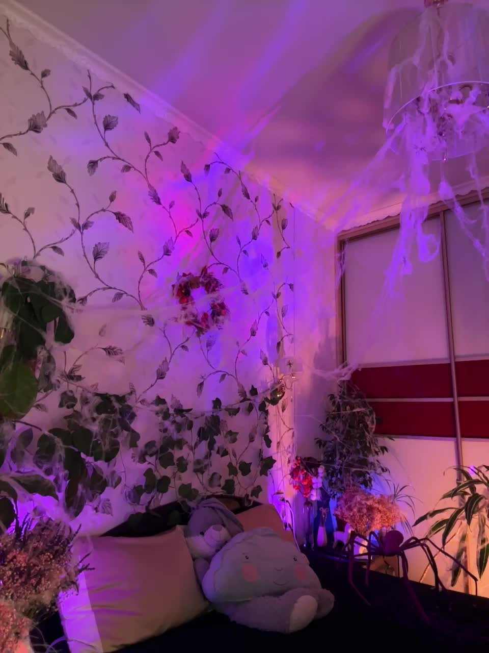 WednesdayFridayAddams Live Sex December 13, 2025