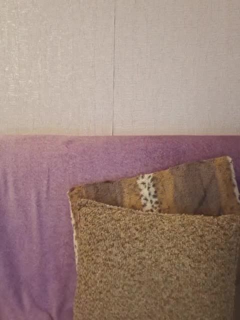 HaisonEris1 Live Sex November 1, 2025