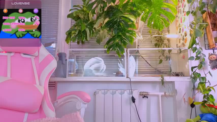 jelya_sg Live Sex December 14, 2025