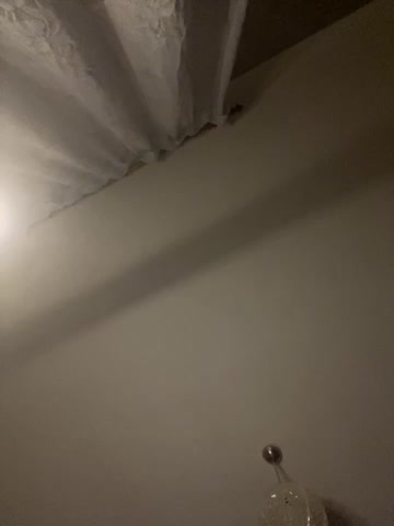 _Molly-Mae_ Live Sex December 17, 2025