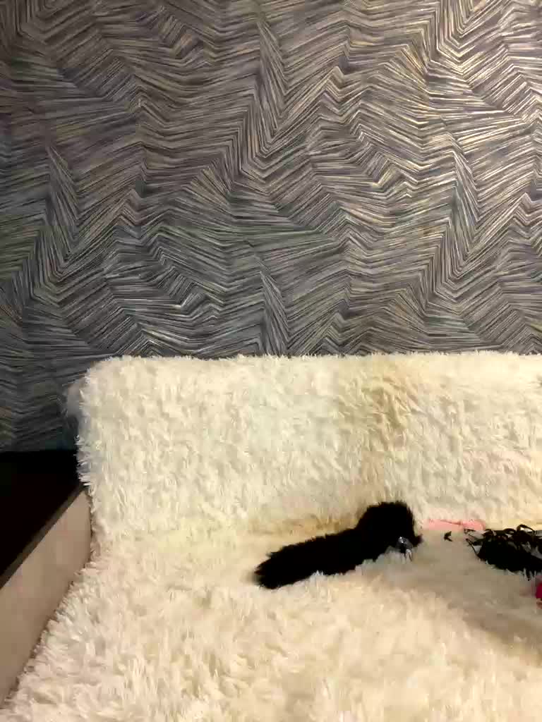 Malishka007 Live Sex November 3, 2025