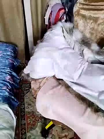 lindaledi2 Live Sex December 14, 2025