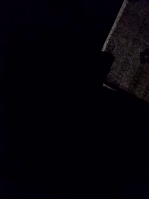 XsuVVa Live Sex November 3, 2025