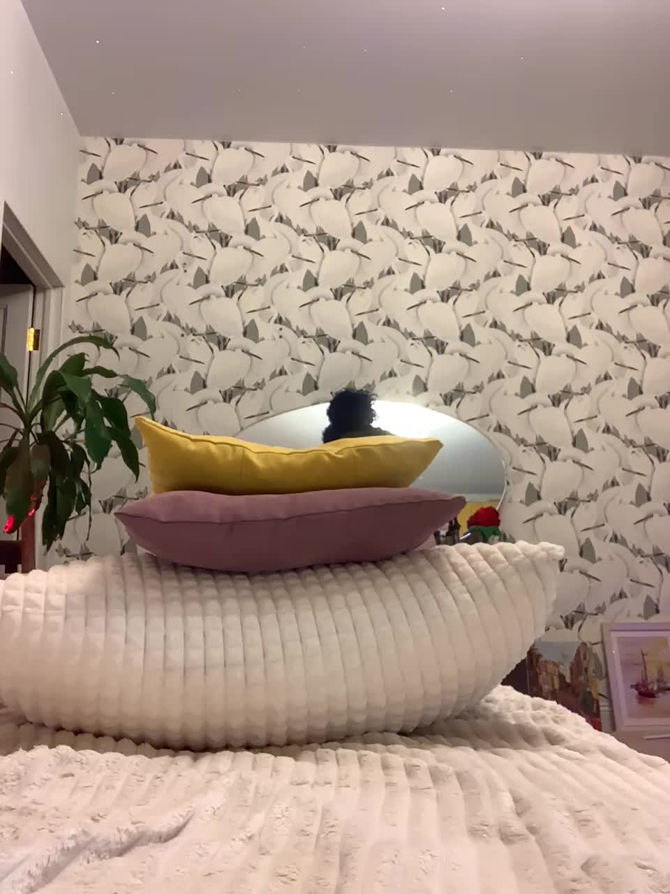 AlenaRai Live Sex December 13, 2025